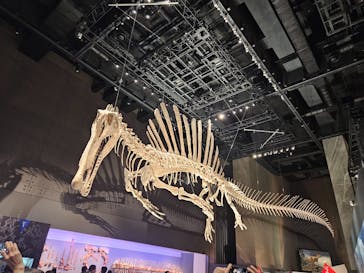 福井県立恐竜博物館に投稿された画像（2025/11/2）