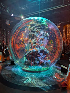 AQUARIUM × ART　atoaに投稿された画像（2025/11/2）