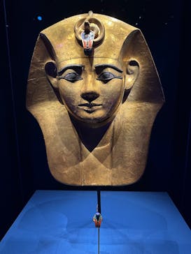 ACN ラムセス大王展 ファラオたちの黄金に投稿された画像（2025/11/2）