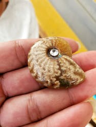 Discovery Worldに投稿された画像（2025/11/2）