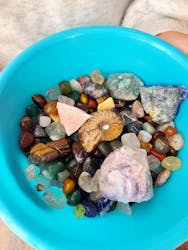 Discovery Worldに投稿された画像（2025/11/2）