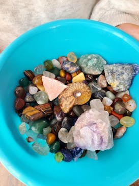 Discovery Worldに投稿された画像（2025/11/2）