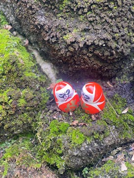 勝尾寺に投稿された画像（2025/11/2）