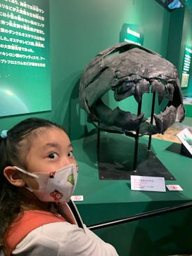 特別展「大絶滅展―生命史のビッグファイブ」に投稿された画像（2025/11/2）