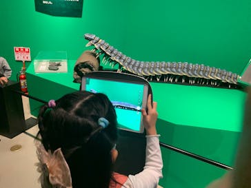 特別展「大絶滅展―生命史のビッグファイブ」に投稿された画像（2025/11/2）