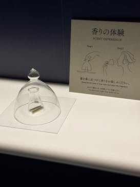 正倉院 THE SHOW ―感じる。いま、ここにある奇跡―　@上野の森美術館に投稿された画像（2025/11/2）