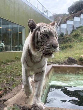 伊豆アニマルキングダムに投稿された画像（2025/11/2）