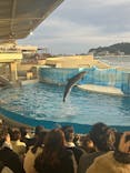 新江ノ島水族館に投稿された画像（2025/11/2）