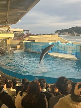 新江ノ島水族館に投稿された画像（2025/11/2）