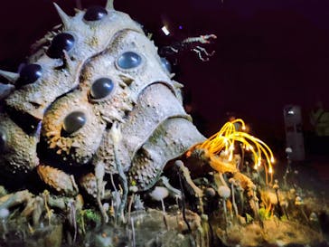 金曜ロードショーとジブリ展（静岡展）に投稿された画像（2025/11/2）