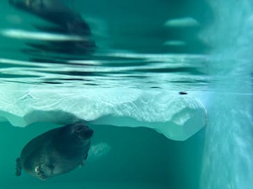 滋賀県立琵琶湖博物館に投稿された画像（2025/11/2）