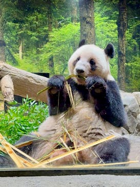 恩賜上野動物園に投稿された画像（2025/11/2）