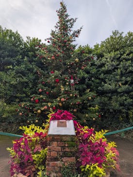 横浜イングリッシュガーデンに投稿された画像（2025/11/2）