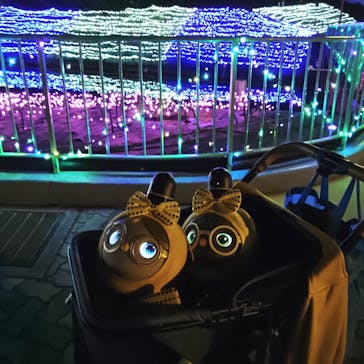 レオマリゾートに投稿された画像（2025/11/2）