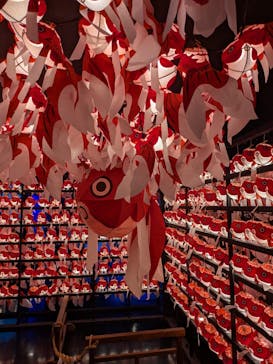 NARA KINGYO MUSEUMに投稿された画像（2025/11/2）