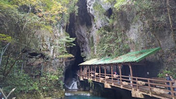 秋芳洞に投稿された画像（2025/11/2）