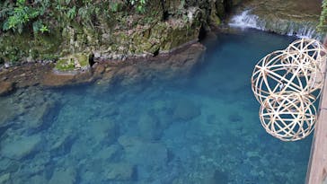 秋芳洞に投稿された画像（2025/11/2）