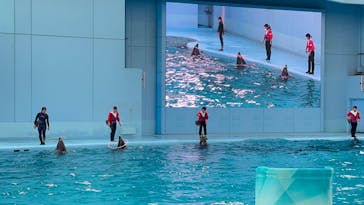 横浜・八景島シーパラダイス　プレジャーランドに投稿された画像（2025/11/2）