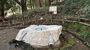 偕楽園本園に投稿された画像（2025/11/2）