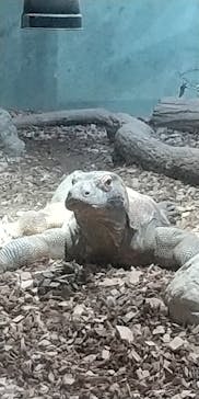 名古屋市東山動植物園に投稿された画像（2025/11/2）