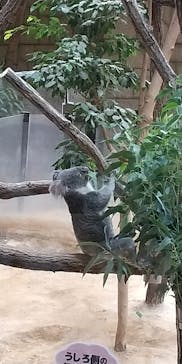 名古屋市東山動植物園に投稿された画像（2025/11/2）