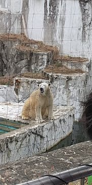 名古屋市東山動植物園に投稿された画像（2025/11/2）