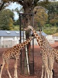 東京動物園協会_多摩動物公園に投稿された画像（2025/11/2）