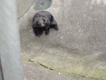 阿蘇カドリー・ドミニオンに投稿された画像（2025/11/2）