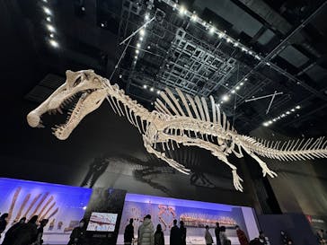 福井県立恐竜博物館に投稿された画像（2025/11/2）