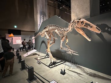 福井県立恐竜博物館に投稿された画像（2025/11/2）