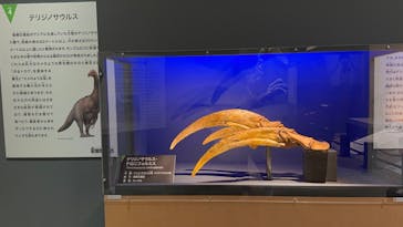 福井県立恐竜博物館に投稿された画像（2025/11/2）