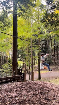 Sport & Do Resort リソルの森　フォレストアドベンチャー・ターザニアに投稿された画像（2025/11/2）