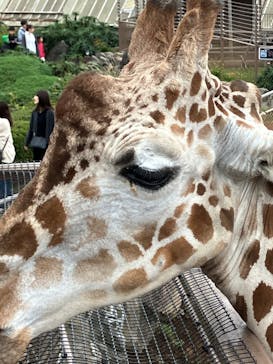 伊豆シャボテン動物公園に投稿された画像（2025/11/2）