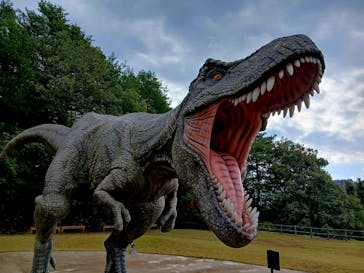 福井県立恐竜博物館に投稿された画像（2025/11/2）