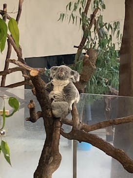 東京動物園協会_多摩動物公園に投稿された画像（2025/11/2）