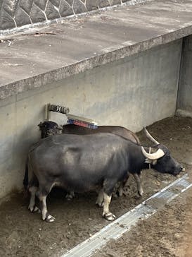 東京動物園協会_多摩動物公園に投稿された画像（2025/11/2）