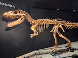 福井県立恐竜博物館に投稿された画像（2025/11/2）