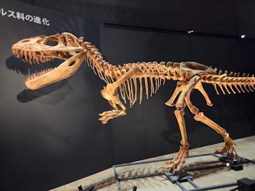 福井県立恐竜博物館に投稿された画像（2025/11/2）