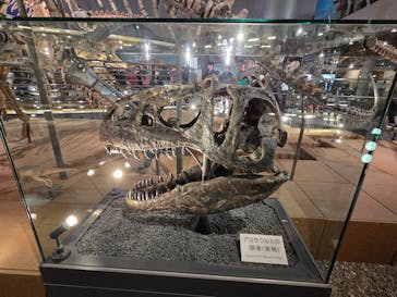 福井県立恐竜博物館に投稿された画像（2025/11/2）