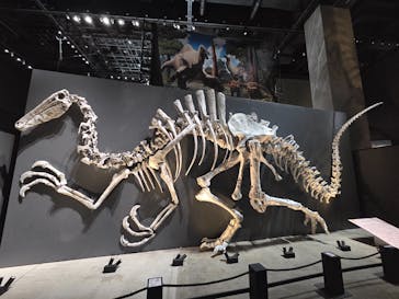 福井県立恐竜博物館に投稿された画像（2025/11/2）