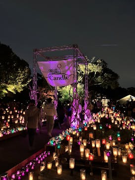 江の島シーキャンドルに投稿された画像（2025/11/2）