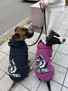 Pet博 大阪会場 Pet Exposition in Osakaに投稿された画像（2025/11/2）