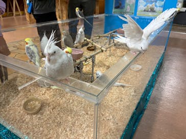 いきもの探検隊上尾に投稿された画像（2025/11/2）