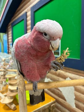 いきもの探検隊上尾に投稿された画像（2025/11/2）