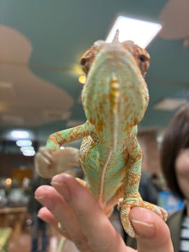 いきもの探検隊上尾に投稿された画像（2025/11/2）