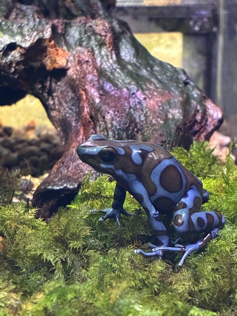 体感型カエル館KawaZoo／投稿された写真一覧｜アソビュー！