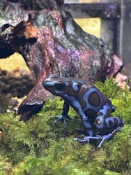 体感型カエル館KawaZooに投稿された画像（2025/11/2）