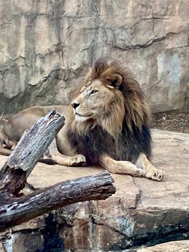千葉市動物公園に投稿された画像（2025/11/2）