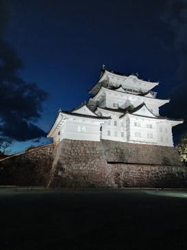 小田原城に投稿された画像（2025/11/2）