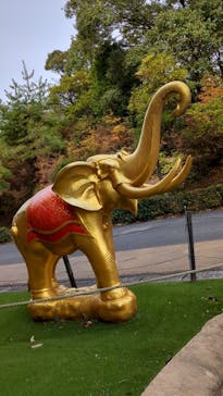 野外民族博物館 リトルワールドに投稿された画像（2025/11/2）